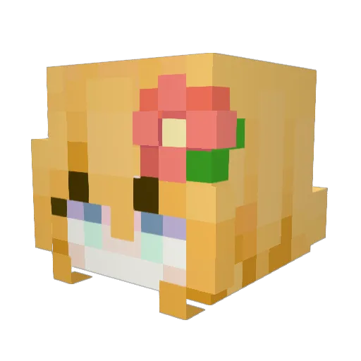 hewlettasha Minecraft avatar head, 3D render