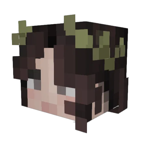 hewnn Minecraft avatar head, 3D render