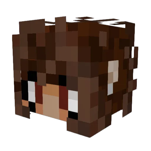 hexagons101 Minecraft avatar head, 3D render