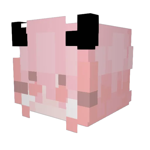 hexjay Minecraft avatar head, 3D render
