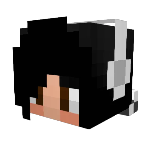 hexoa Minecraft avatar head, 3D render
