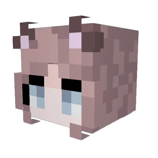hexpuppy Minecraft avatar head, 3D render