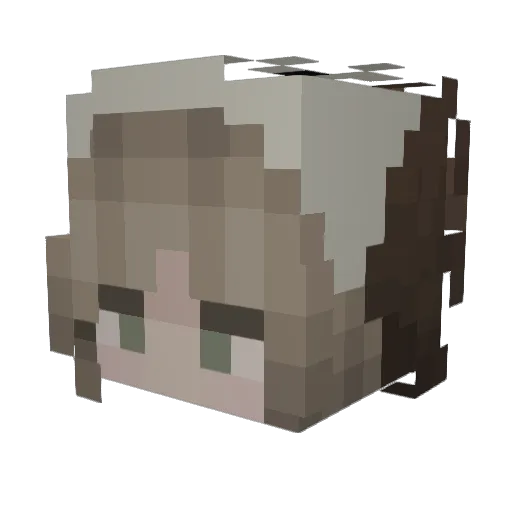 heyFuzzy Minecraft avatar head, 3D render