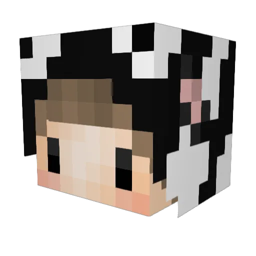 heycasey Minecraft avatar head, 3D render