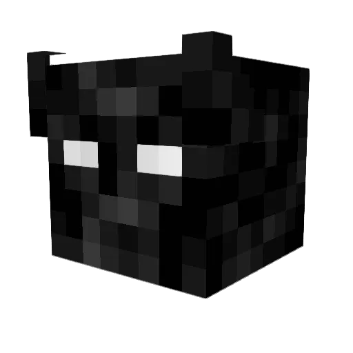 heyey123 Minecraft avatar head, 3D render