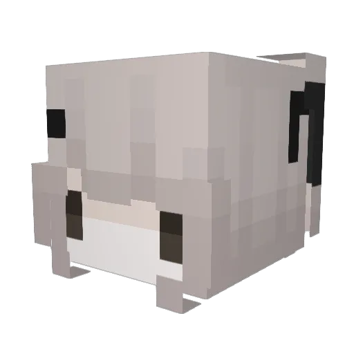 heyfish Minecraft avatar head, 3D render