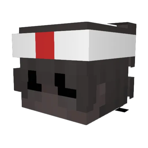 heyfrnd Minecraft avatar head, 3D render