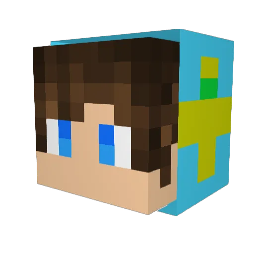 heyhoo9121 Minecraft avatar head, 3D render