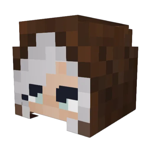 heyhooo060917 Minecraft avatar head, 3D render