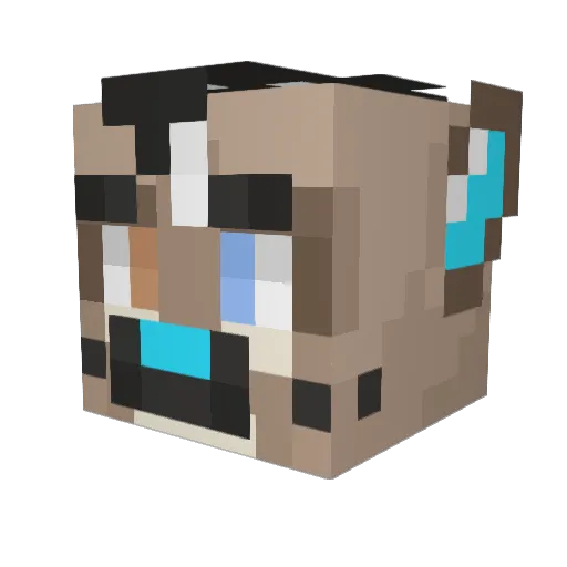 heyimdry Minecraft avatar head, 3D render