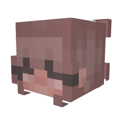 heyitrosie2 Minecraft avatar head, 3D render