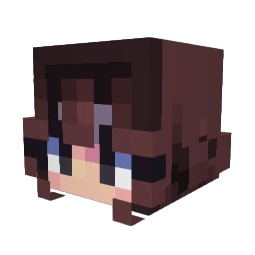 heyitsaustin07 Minecraft avatar head, 3D render