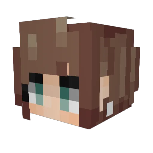 heyitsducky Minecraft avatar head, 3D render