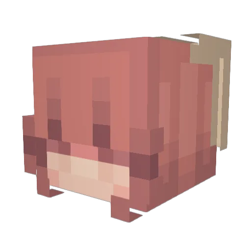 heyitsjuliet Minecraft avatar head, 3D render