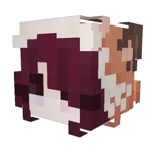 heyjin0919 Minecraft avatar head, 3D render