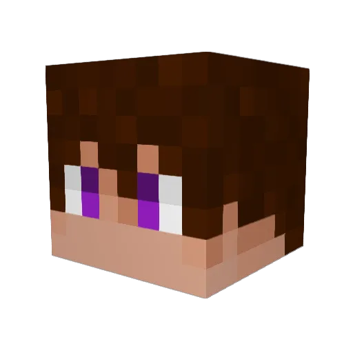 heyleco_ Minecraft avatar head, 3D render