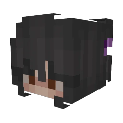 heymanimdani Minecraft avatar head, 3D render
