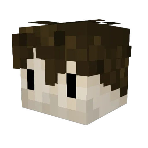 heysheepdog Minecraft avatar head, 3D render