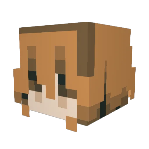heytaytay2 Minecraft avatar head, 3D render
