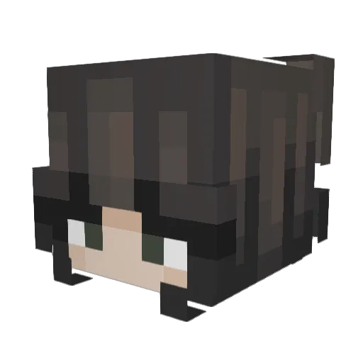 heywa1t Minecraft avatar head, 3D render