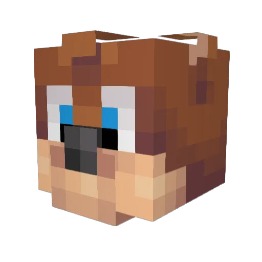 heywarr Minecraft avatar head, 3D render