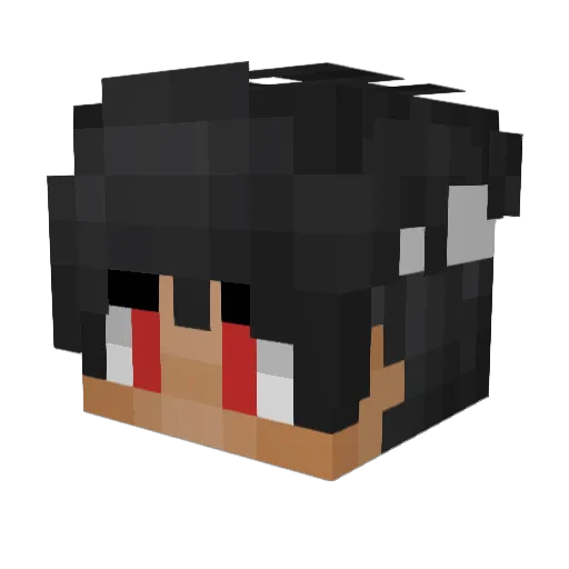 heyy_masterzx Minecraft avatar head, 3D render