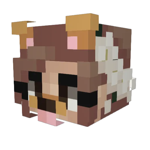 heyyouthere2012 Minecraft avatar head, 3D render