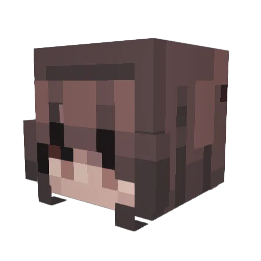heyzwim Minecraft avatar head, 3D render