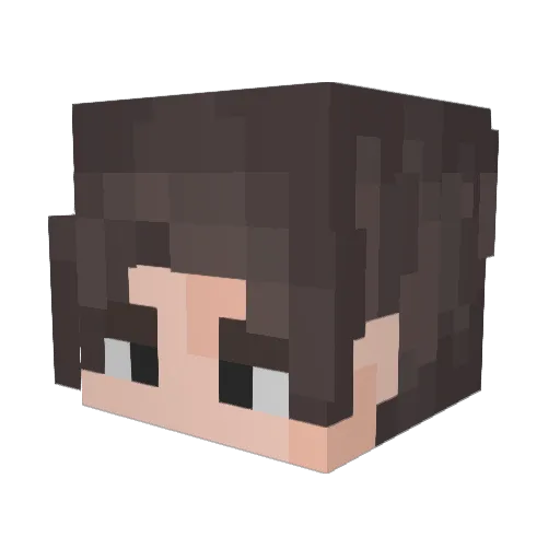 hfect Minecraft avatar head, 3D render