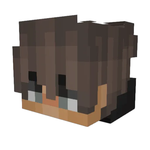 hfse Minecraft avatar head, 3D render