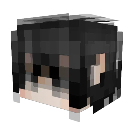 hfz111 Minecraft avatar head, 3D render