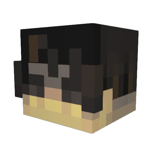 hgi Minecraft avatar head, 3D render