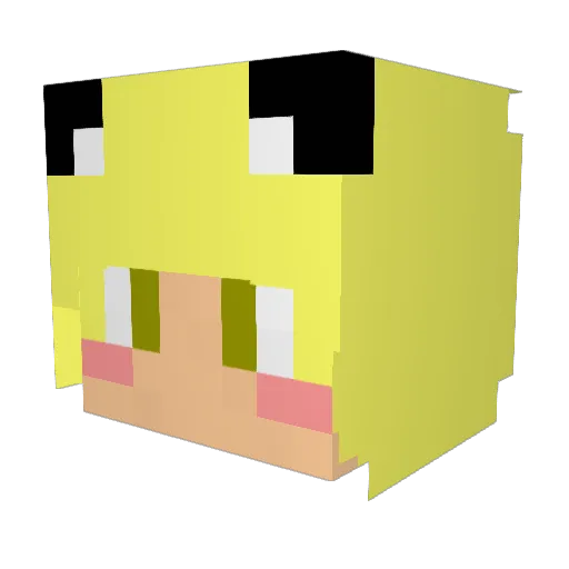 hgoodi11 Minecraft avatar head, 3D render