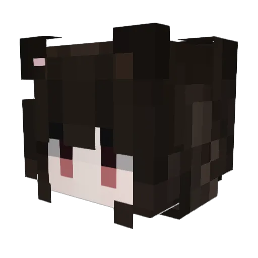 hgtfvl Minecraft avatar head, 3D render