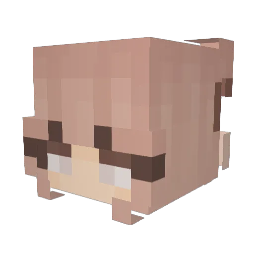 hguruu Minecraft avatar head, 3D render