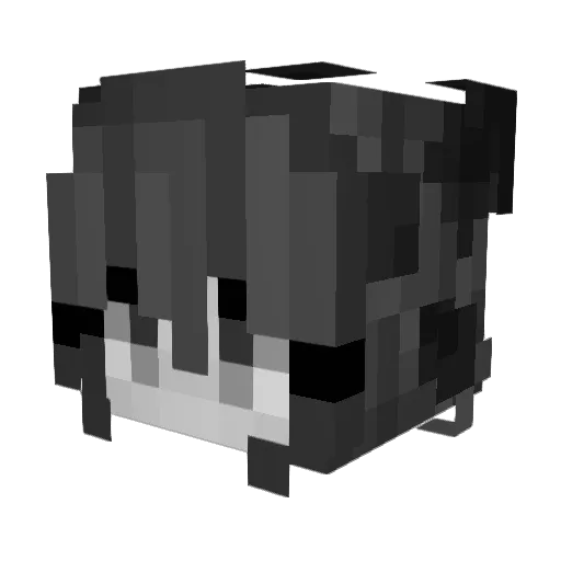 hgzsrzz Minecraft avatar head, 3D render