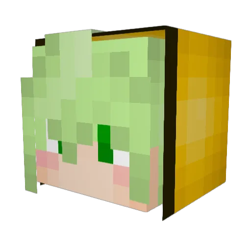 hh4925 Minecraft avatar head, 3D render