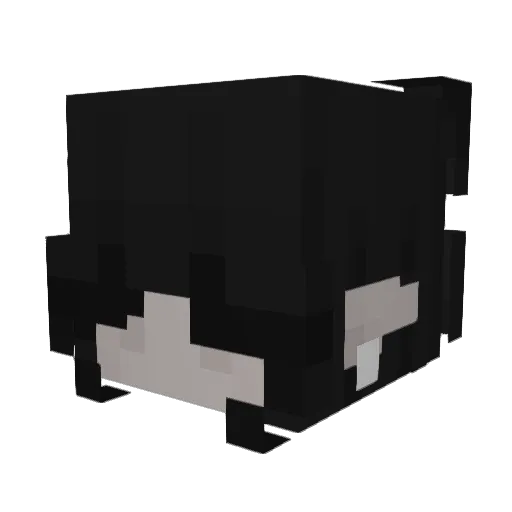 hha1L3y Minecraft avatar head, 3D render