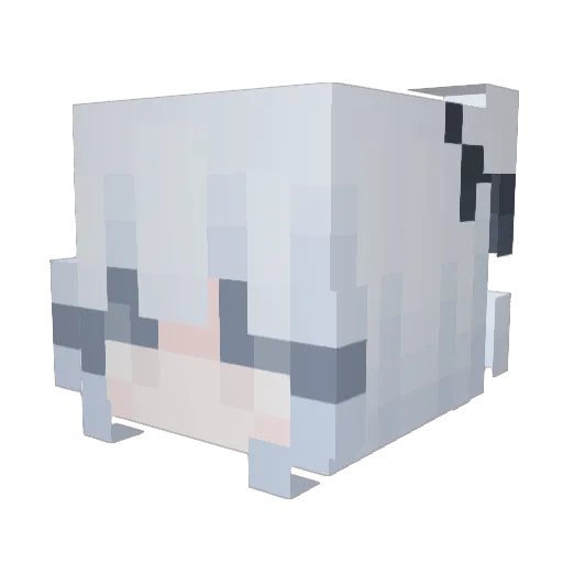 hhanne Minecraft avatar head, 3D render