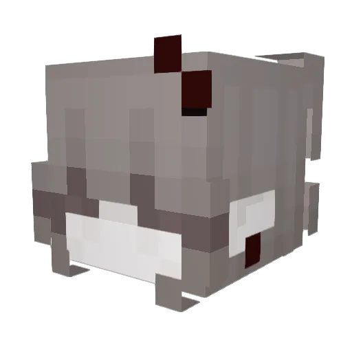 hhauntings Minecraft avatar head, 3D render