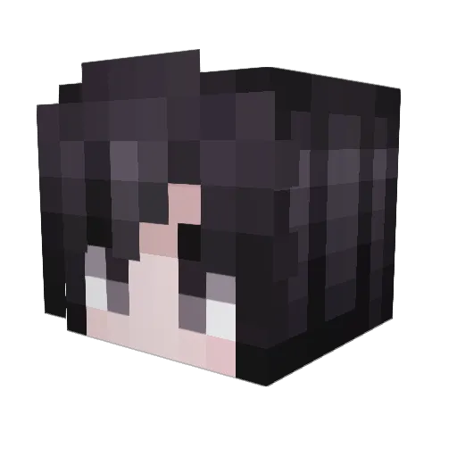 hhdzo Minecraft avatar head, 3D render