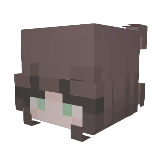 hhhhbd Minecraft avatar head, 3D render