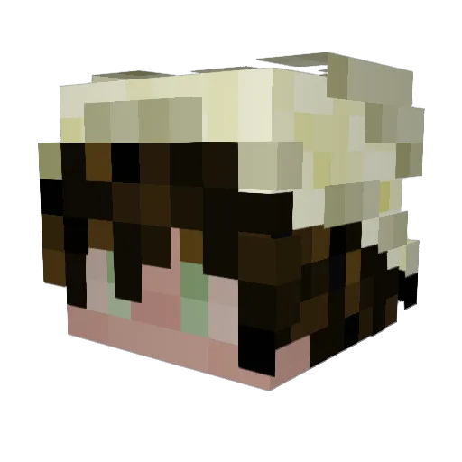 hhian Minecraft avatar head, 3D render
