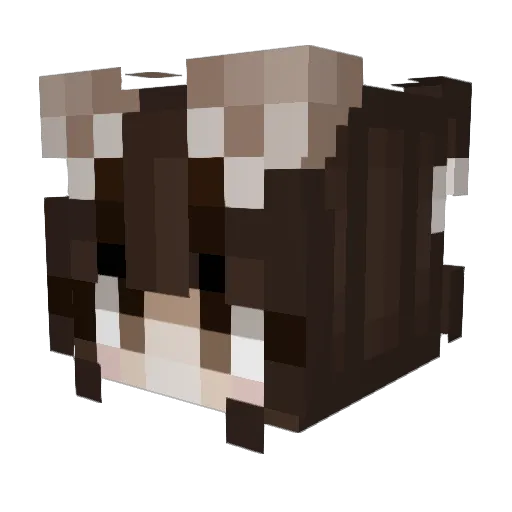 hhj66 Minecraft avatar head, 3D render