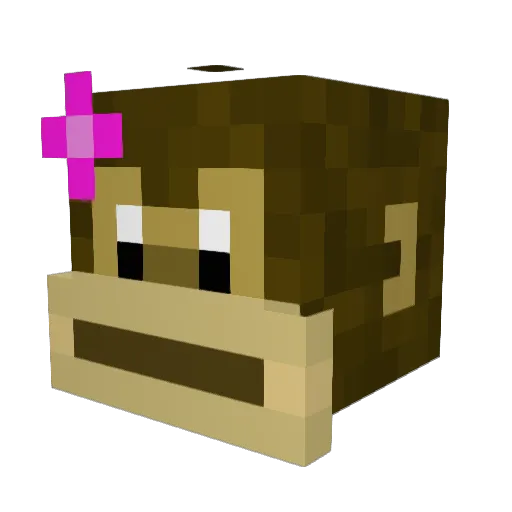 hhubbs Minecraft avatar head, 3D render