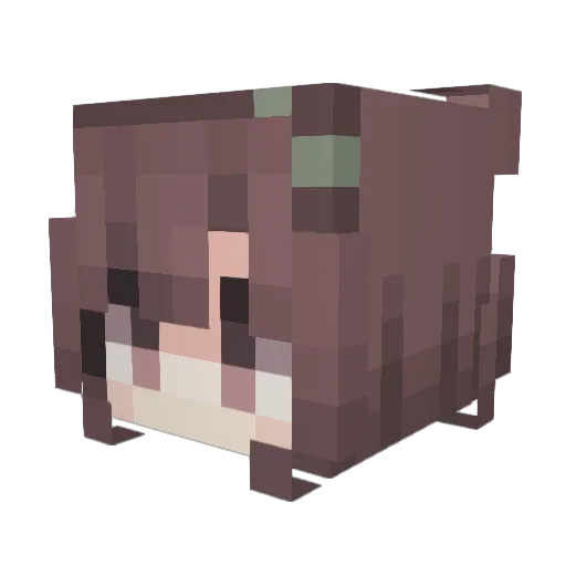 hhukkiez Minecraft avatar head, 3D render