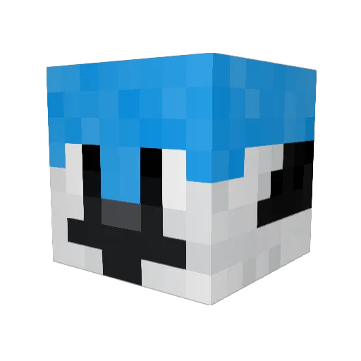 hi10derzz Minecraft avatar head, 3D render