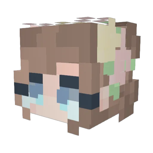 hi__hello Minecraft avatar head, 3D render