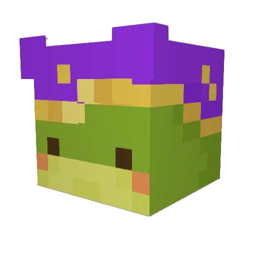 hi_frogd3 Minecraft avatar head, 3D render