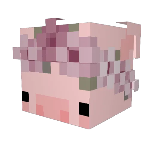 hi_im_joofy Minecraft avatar head, 3D render